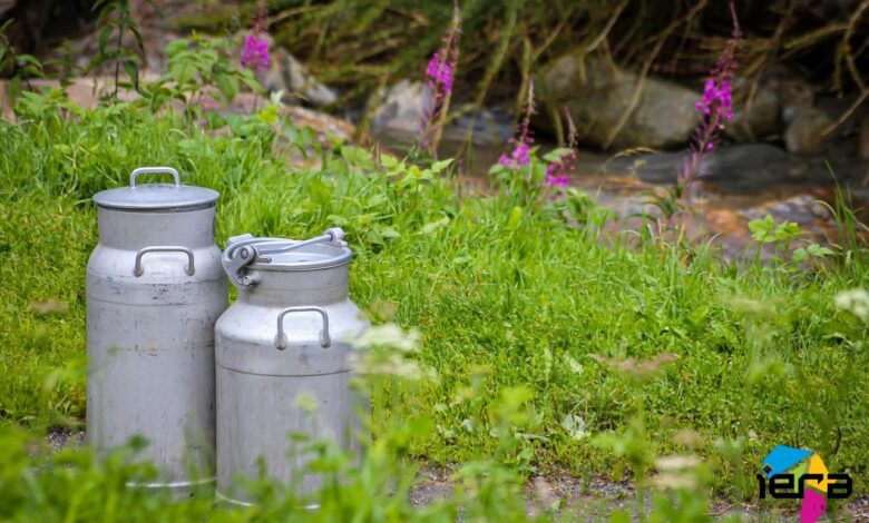 How a Simple Milk Purchase Led a Christian Woman to Islam How a Simple Milk Purchase Led a Christian Woman to Islam